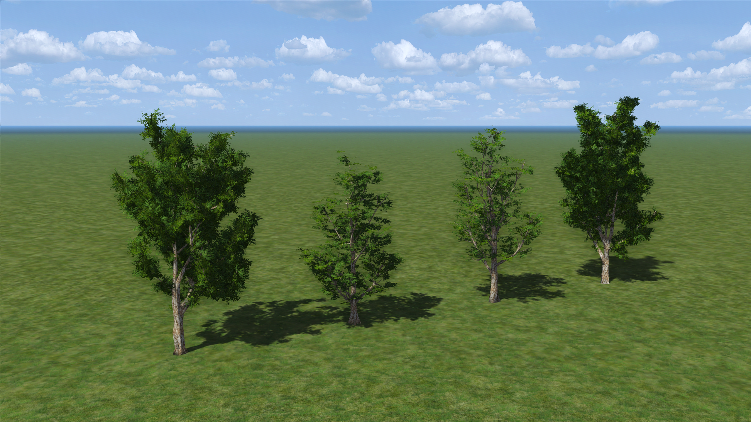Platanes